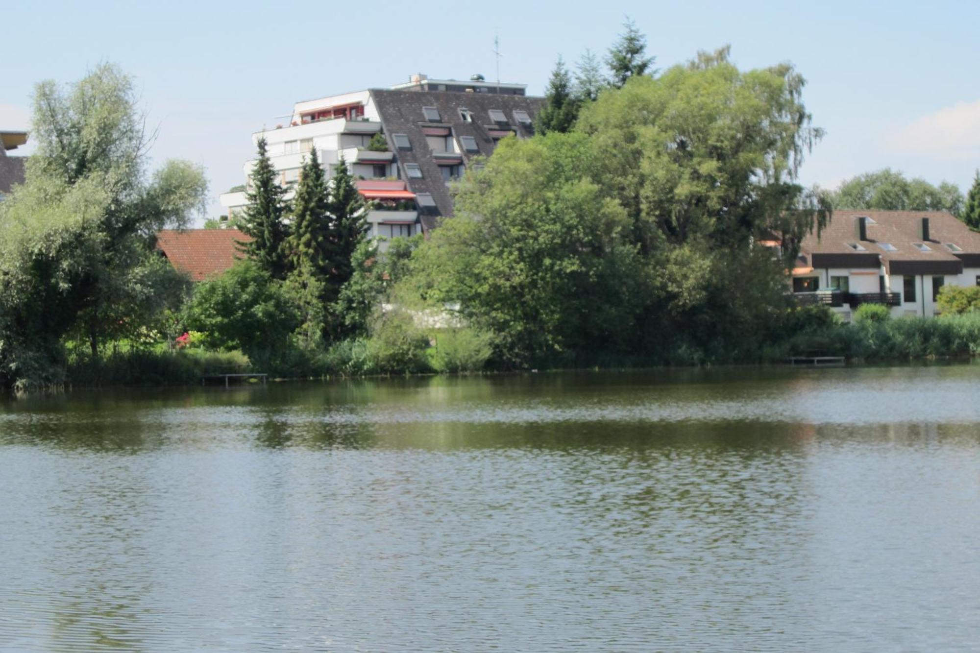 Ferienwohnung Am Weiher 梅尔斯堡 外观 照片
